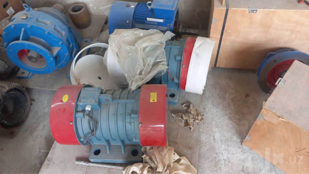 Elektira vebrator