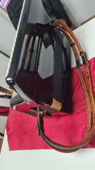 Acordeon Hohner 120 damă  Parot 80basi Firotti si Hohner sita