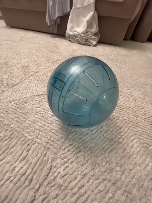 Колесо для хомяка