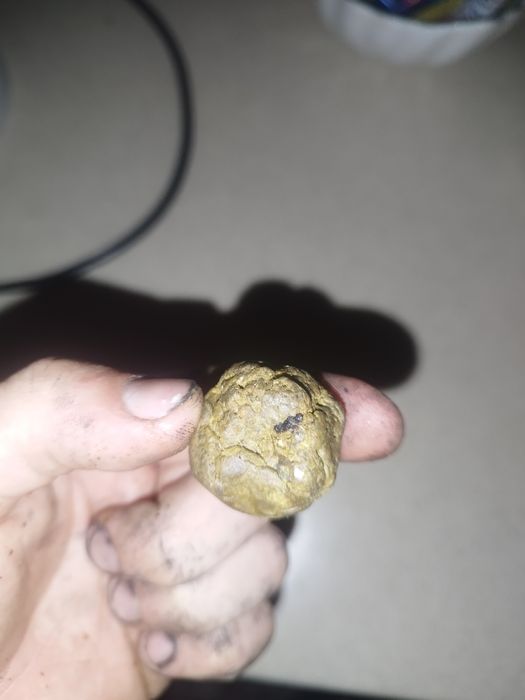 Мёд, прополис, соты, перга, пыльца