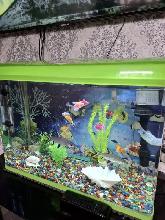 Аквариум заводской