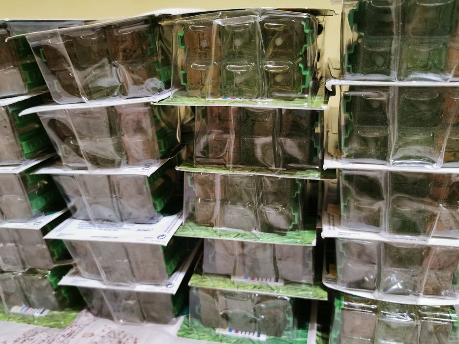 Rezerve Ambipur - Odorizant Camera - Aparat Ambipur