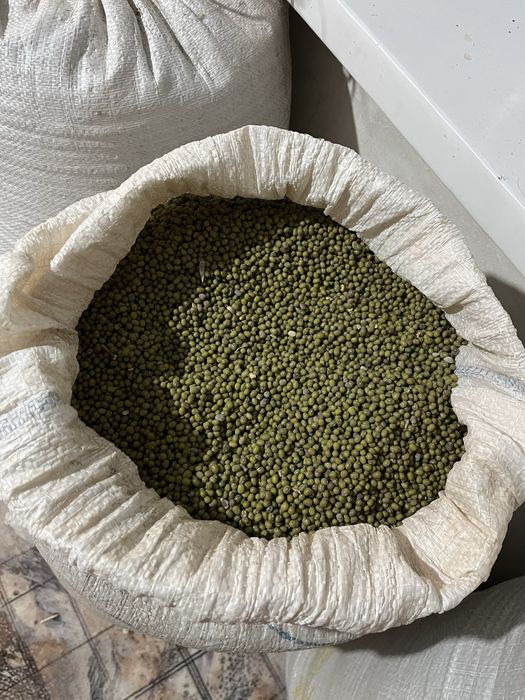 Маш  бар 300кг+-