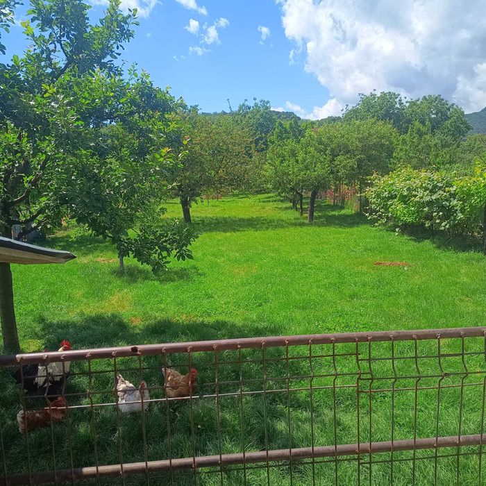 Casă 4 camere, livadă 800 mp, deschidere DN – Bujoreni (200m de pecop Boromir)