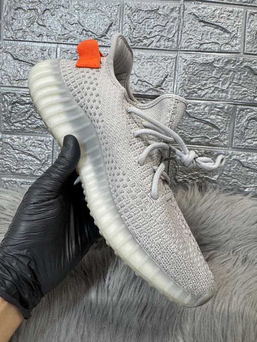 Yeezy 350 v2 Tail Light Pk Premium