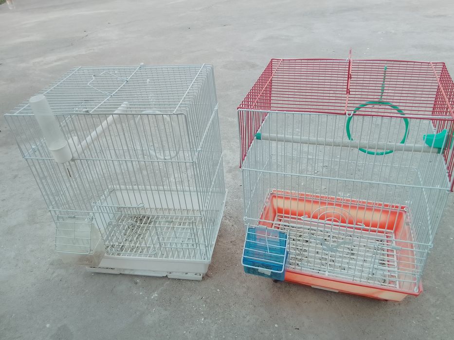 Клетка құстарға арналған