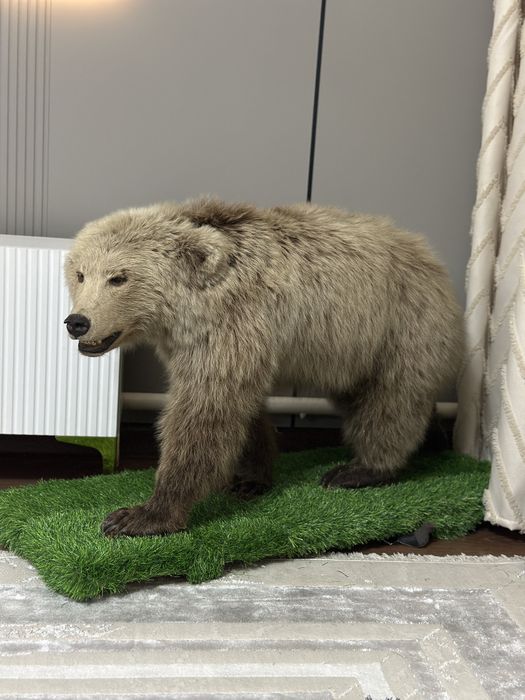 Срочно продам антиквариат Медведь