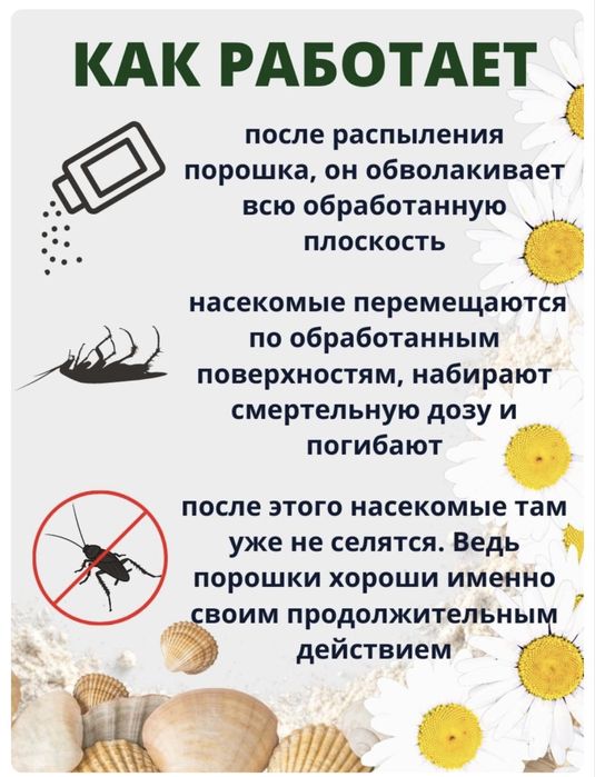 Эко Абсолют от клопов без запаха