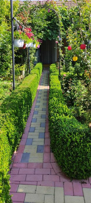 Cazare la mare casa Orange House Mangalia