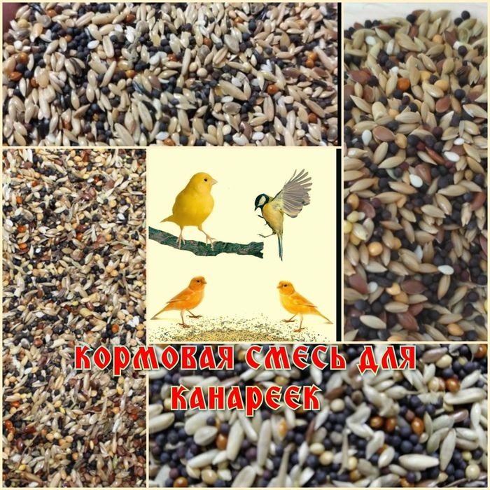 Зерновые культуры korma