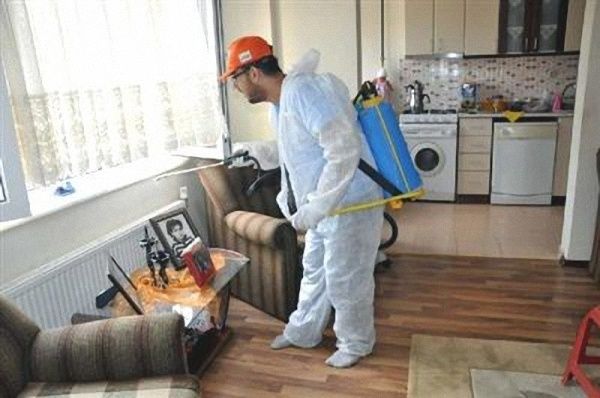 Dezenfeksiya Дезинфекция от Клопов Тараканов Мухи Камари Грызунов 24/7