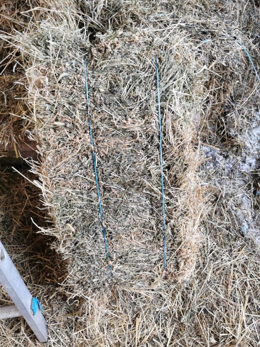 Baloti lucerna depozitati in sura