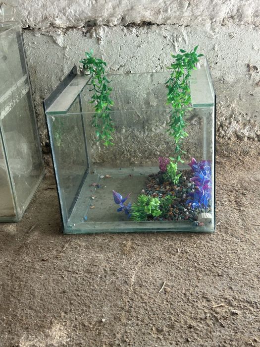 Аквариюм сатылады