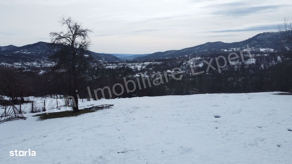 Teren de vânzare în comuna Brăduleț, sat Brăduleț, județ Argeș.