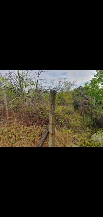 Рязане на храсти,растителности ,опасни  дървета ,парцели и дворове