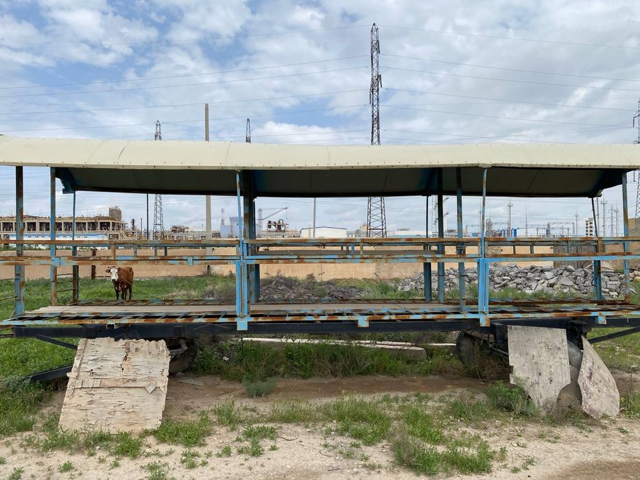 Вагон, тележка для пчёл. Asalarilar uchun vagon (arava).