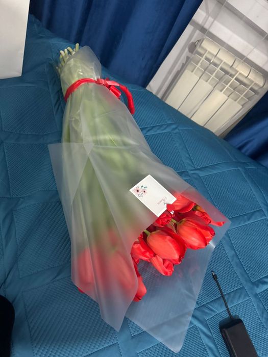 Свежый 41 штук тюльпан