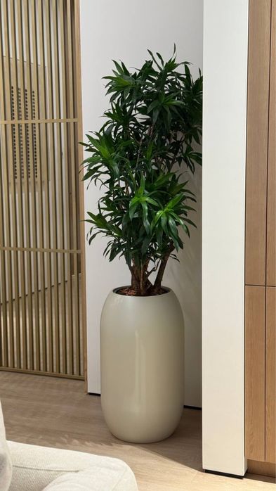 кашпо тувак скамека  декаративни тувак premium