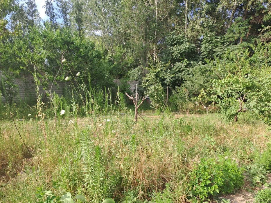 Земля дачный поселок