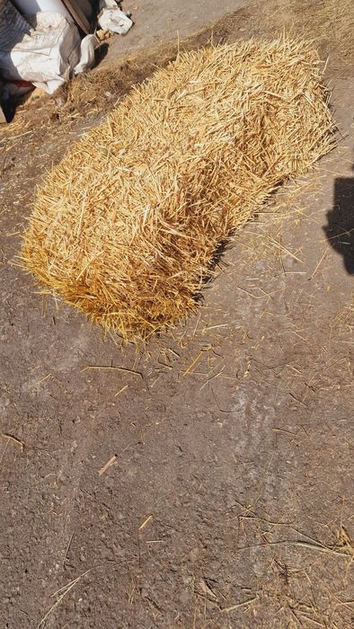 Солома сухая солома