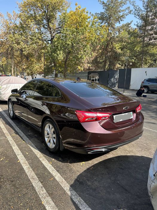 Malibu Premier 2021 темно бордовый