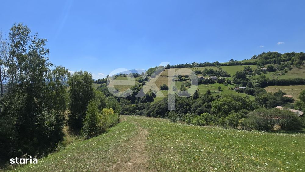 3.757 mp in Poiana Marului | Teren cu potential, langa case