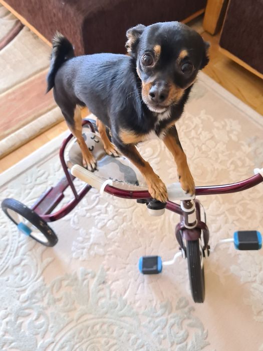 Предлагаю для вязки