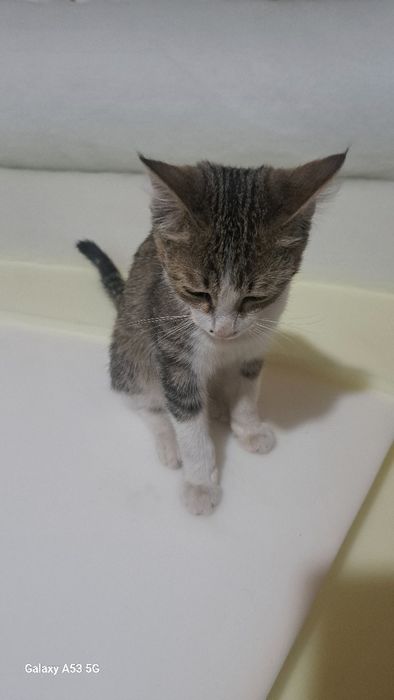 Faqat reaniy oladiganlaga