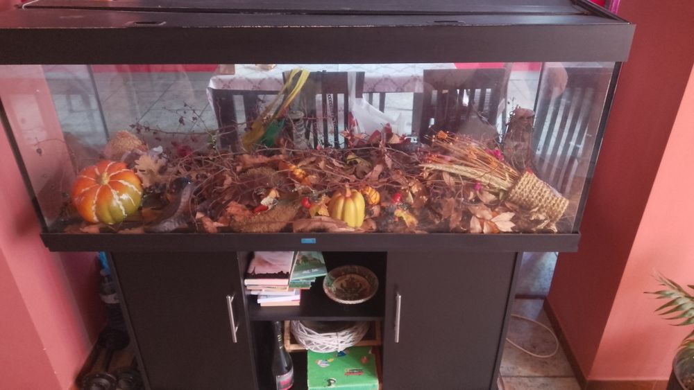 Acvariu Juwel cu mobilier