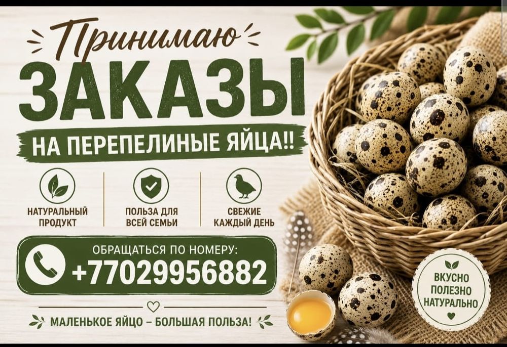 Бөдене жұмыртқасын сатамын. Пелепелиные яицо продается