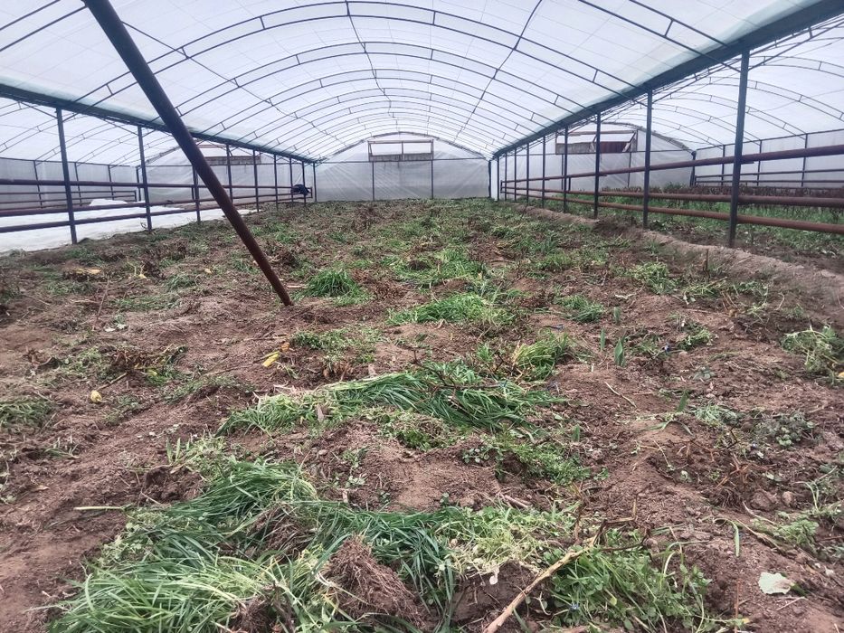 Issiq xona 4.5 soʻtx