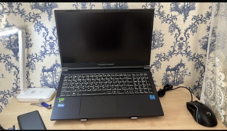 Игровой Ноутбук THUNDEROBOT 911S