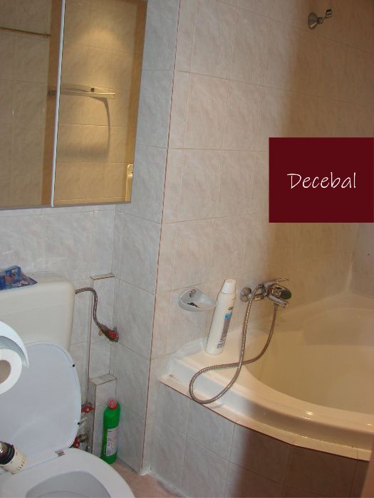 Apartament Camere Decebal Piata Alba Iulia Unirii Muncii Dristor Lux