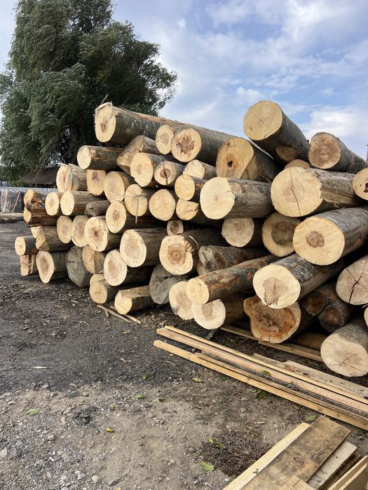 Buștean FAG / Lemn foc FAG