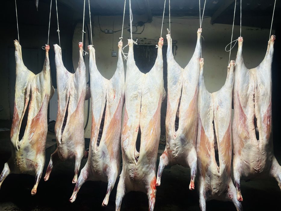 Семіз қой еті сатылады