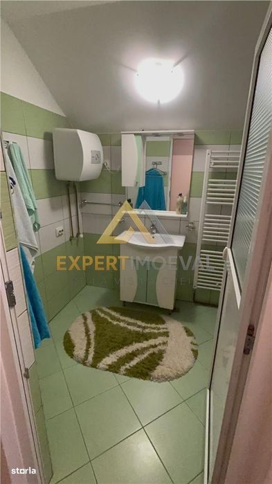 Casa ultracentrala langa Parcul Municipal Regina Maria la pret de nera