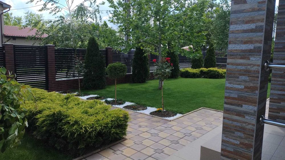Ienuperi, tuia si plante decorative ornamentale de vanzare