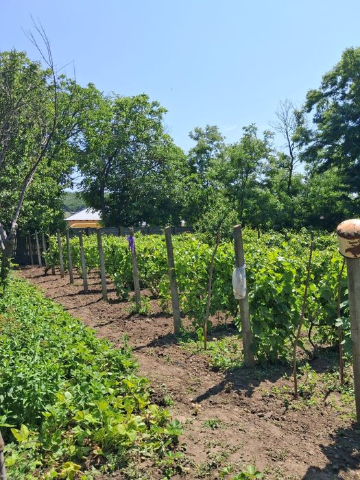 Gospodarie formata din 2 case cu pamant