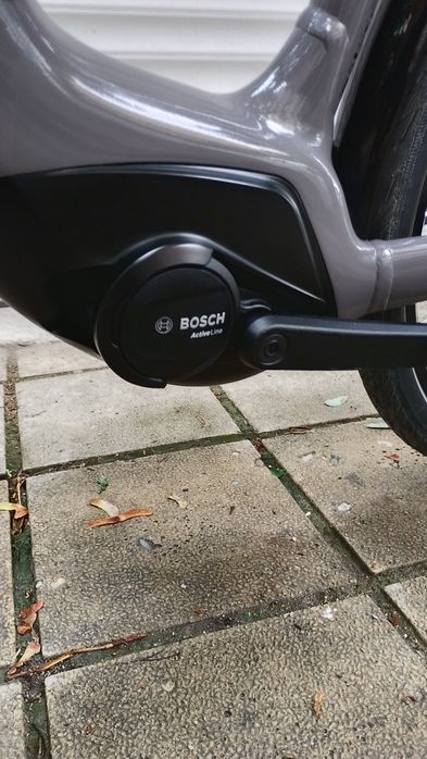 Batavus Altura -Bosch Smart