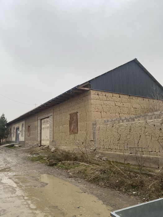 Hovli sotiladi 6 sutx