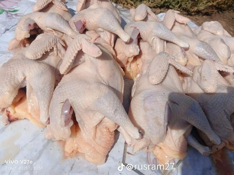 Домашние куриные тушки