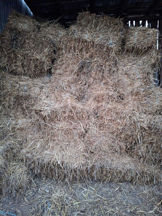 Baloti de vânzare preț bun