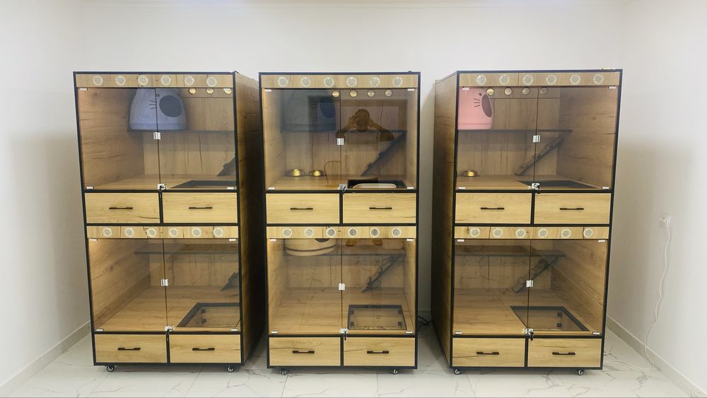 Зоогостиница. Заботливая передержка кошек от Олеси.