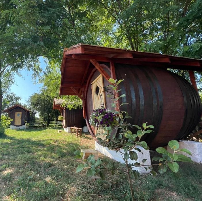 Liber de Sf Ion
Ideală pen