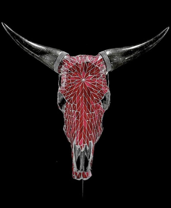 Vand craniu bivol sau vaca sculptate in Indonezia