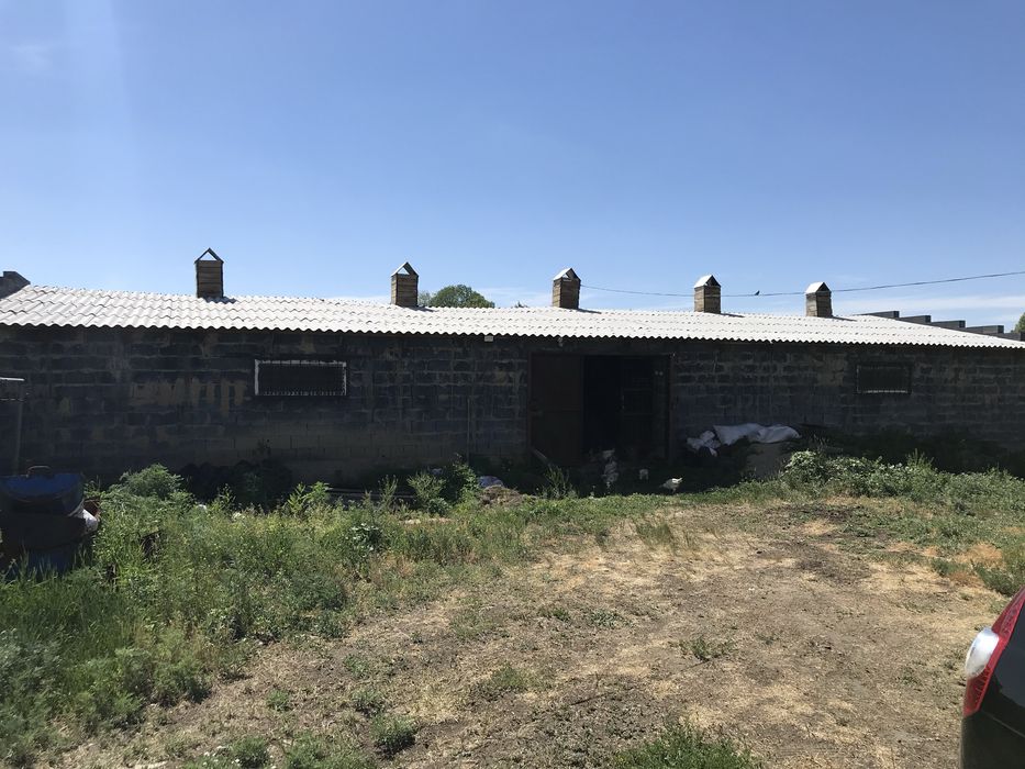 Продам откорм базу