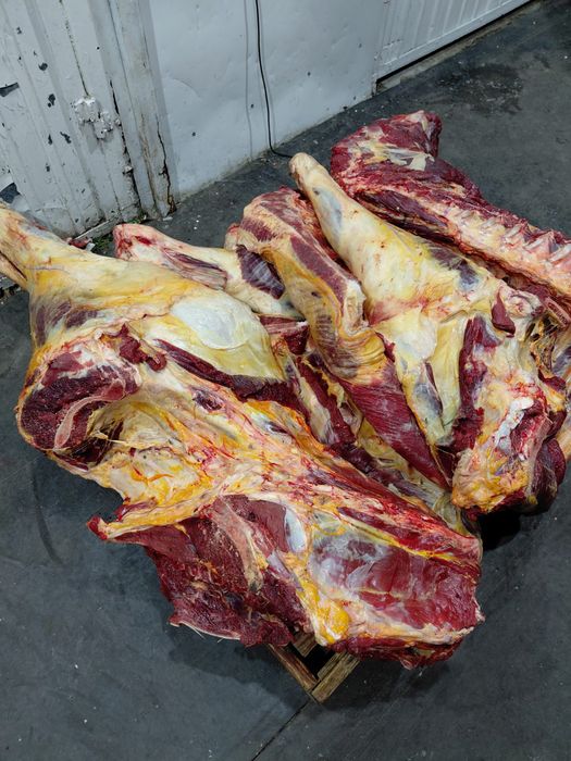 Оптом мясо говядины тушами оптом