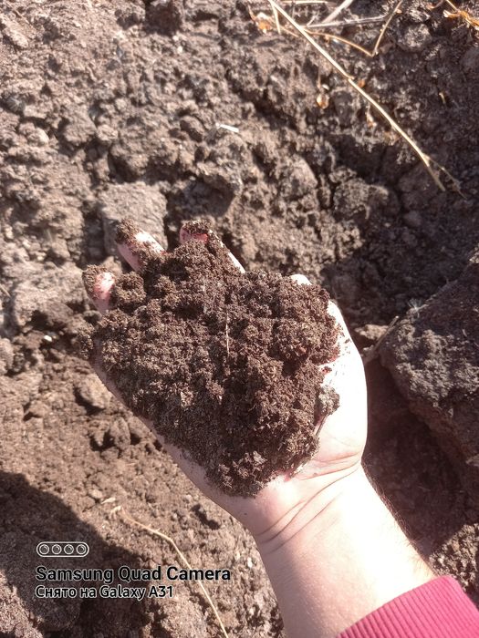 Перегной всех видов