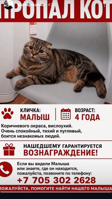 Вознаграждения гарантируем