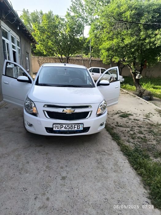 Assalomu alaykum hammaga koblt sotiladi